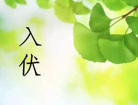 何為三伏天？三伏貼？ 